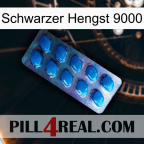 Black Stallion 9000 viagra1